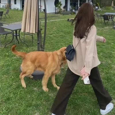 龙虎斗边城